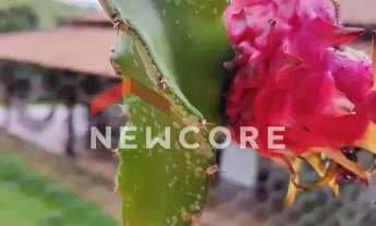 Imagem 5: Sítio em Rua Contagem - Caiapós - Contagem/MG