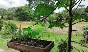 Imagem 4: Vendo esta chácara