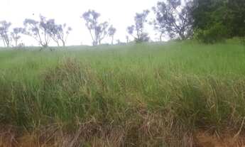 Imagem: Vendo terreno no horto