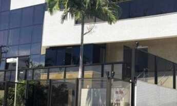 Imagem 3: Horto da sementeira