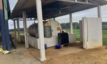 Imagem 2: Fazenda em Mineiros - GO