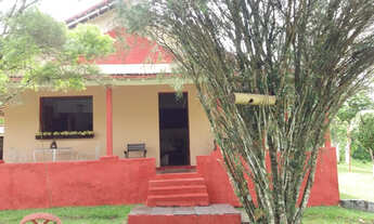 Imagem 5: Fazenda com 31hc no Cabo a 500m da BR-101