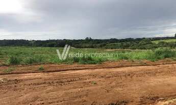 Imagem 3: Monte Alegre do Sul - Loteamento/Condomínio - Camanducaia