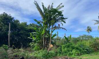 Imagem 2: Terreno 8 x 22 - Monte Gordo - Documentado - Oportunidade