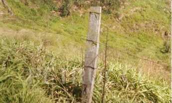 Imagem 2: Terreno - Joaquim Egídio - Campinas