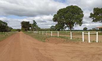 Imagem 4: LINDA CHACARA SAÍDA PARA SÃO PAULO 1I2LT5A