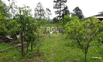 Imagem 5: Viamão - Terreno Padrão - Itapuã