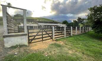 Imagem 4: 35 ALQUEIRES PRONTO PROXIMO A CIDADE DE CAMPOS