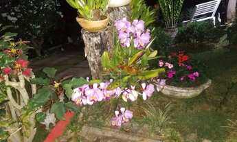 Imagem 2: Sitio em Caeté Fazenda / sítio com venda por R$850.000