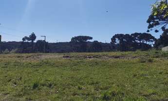 Imagem 5: Terreno URBANO com 1436 m² no Centro de Campo Alegre - SC