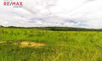 Imagem 6: TERRENO PARA INVESTIMENTO NA BEIRA DA RODOVIA