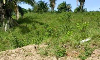 Imagem 3: Fazenda Fazenda / sítio com venda com preço sob consulta