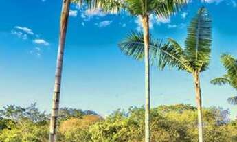 Imagem: Rural chacara com 5 quartos - Bairro Setor