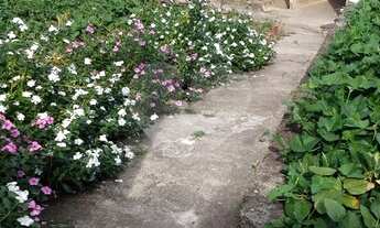 Imagem 6: Magnífico terreno, juntinho a Rua Barreiros