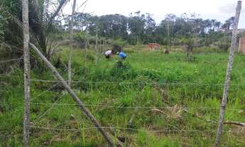 Imagem 2: Vendo lotes na ilha de Barra grande