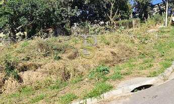 Imagem 2: Terreno À Venda - Com Projeto Aprovado - Terra Preta - Mairiporã/SP