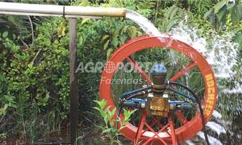 Imagem 6: Fazenda no Pará - Goianésia - 345 ha (71 alq