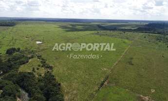 Imagem: Fazenda no Pará - Goianésia - 345 ha (71