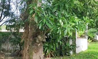 Imagem 6: Araruama - Casa Padrão - Bananeira