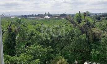 Imagem 4: Canoas - Apartamento Padrão - Rio Branco