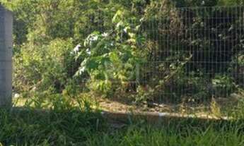 Imagem 3: Porto Alegre - Terreno Padrão - Lageado