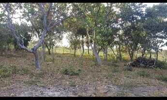 Imagem 2: Vendo lotes no lago Serra da mesa