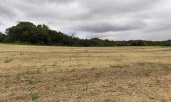 Imagem 5: CAMPO LARGO - Chácara - BOTIATUVA