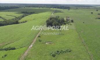 Imagem: Fazenda no Pará - Tomé-Açu - 798 ha (165