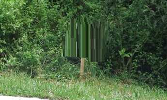 Imagem 2: Gramado - Terreno Padrão - Casa Grande