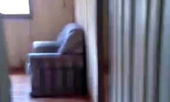 Imagem 4: Vende-se casa Otima oportunidade