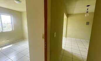 Imagem 4: Apartamento à venda - parque primavera, aparecida de goiânia