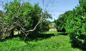 Imagem 5: Linda Área com casa com vista para Lagoa