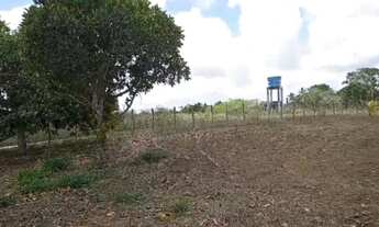 Imagem 4: Sítio em Lagoa do Itaenga Urgente. Seu sonho de ter um sítio vai se realizar