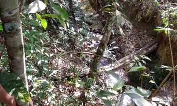 Imagem 5: Sítio 35 Hectares - Município de Santo Antônio do Desc. GO