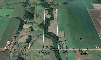 Imagem 3: Leilão/Alienação Judicial - Até 30% de desconto - Área rual com 30 ha em Dourados-MS