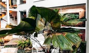 Imagem 5: Casa á venda 600m² Sambaqui - Florianópolis