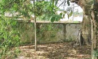 Imagem 4: Araruama - Casa Padrão - Bananeira