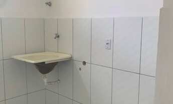 Imagem 4: Bosque dos Flamboãies