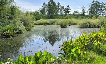 Imagem 2: Linda ares de 15 hectares