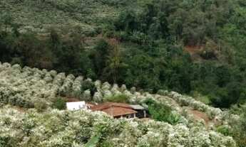 Imagem 6: Sitio Produzindo em Manhaçu- A terra se paga