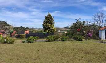 Imagem 6: CHÁCARA DAS PALMEIRAS