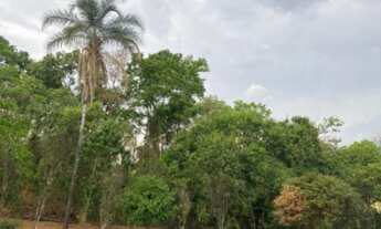 Imagem 7: Vendo belíssima fazenda povoado lagolandia em Pirenópolis
