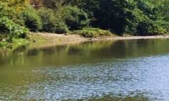 Imagem: VENDO FAZENDA DE 10 ALQUEIRES NO MUNICÍPIO