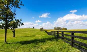 Imagem 2: NOVA OPORTUNIDADE - Crédito Rural grupo em andamento