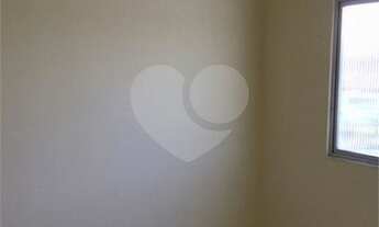 Imagem 6: Maravilhoso apartamento, prédio único, vazio