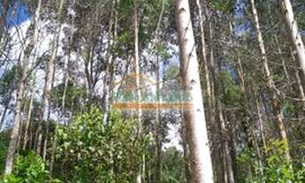 Imagem 6: ÁREA à venda com 90016.2m² por R$ 750.000,00 - CAMPO MAGRO / PR