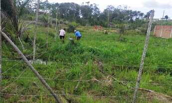 Imagem 6: Vendo lotes na ilha de Barra grande