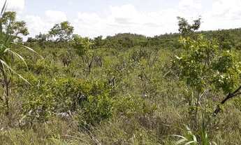 Imagem 7: Fazenda em Ponte Alta