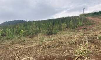 Imagem: MD - Ofertas lotes planos