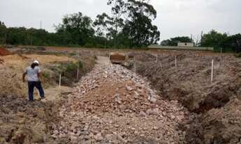 Imagem 4: Porto Alegre - Terreno Padrão - Ipanema